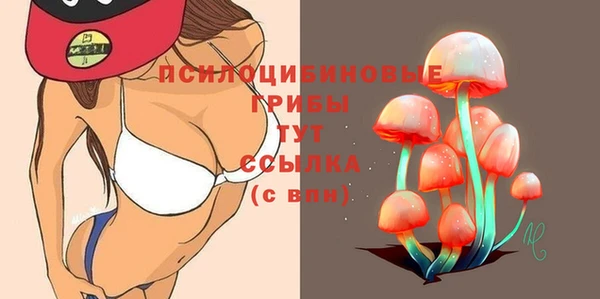 mix Алексеевка