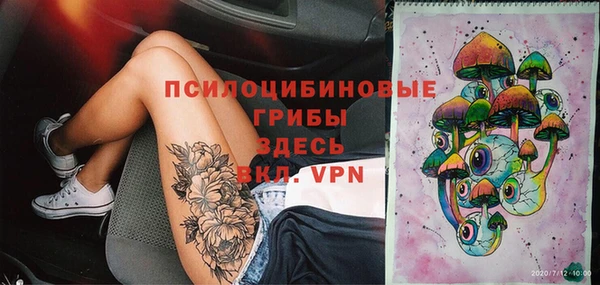 ГАЛЛЮЦИНОГЕННЫЕ ГРИБЫ Осташков