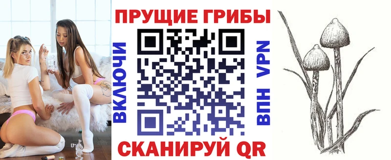 Псилоцибиновые грибы GOLDEN TEACHER  как найти закладки  Анапа 